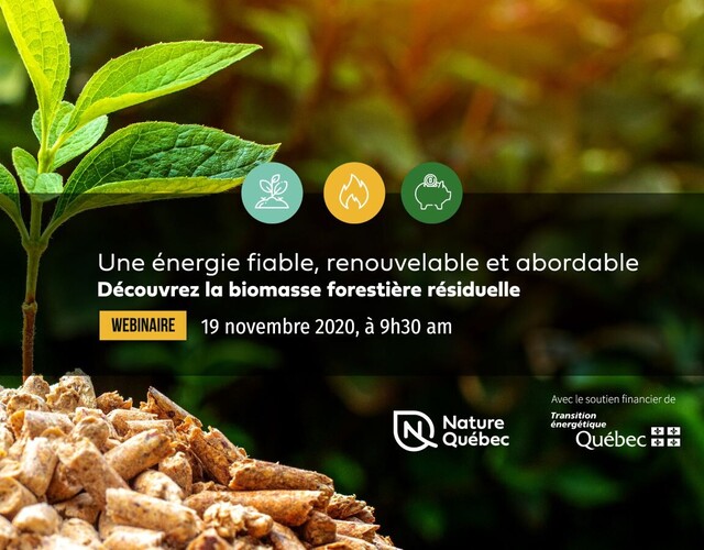 Une énergie fiable, renouvelable et abordable : découvrez la biomasse forestière résiduelle